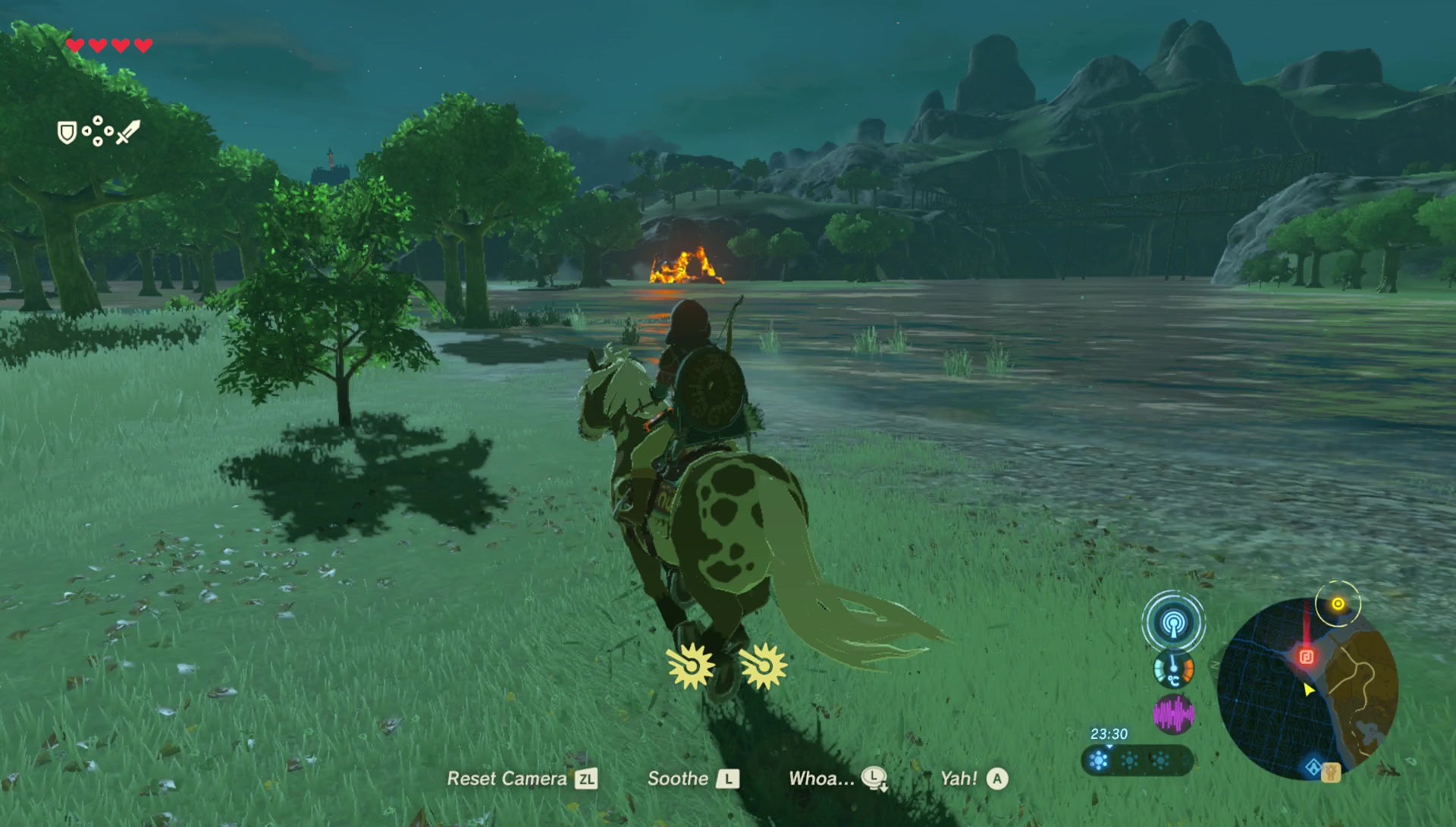 Breath Of The Wild Magda Flowers Best Flower Site